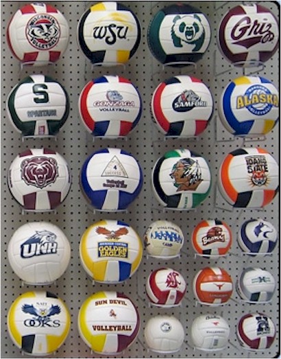 volley_over.jpg (89548 Byte)